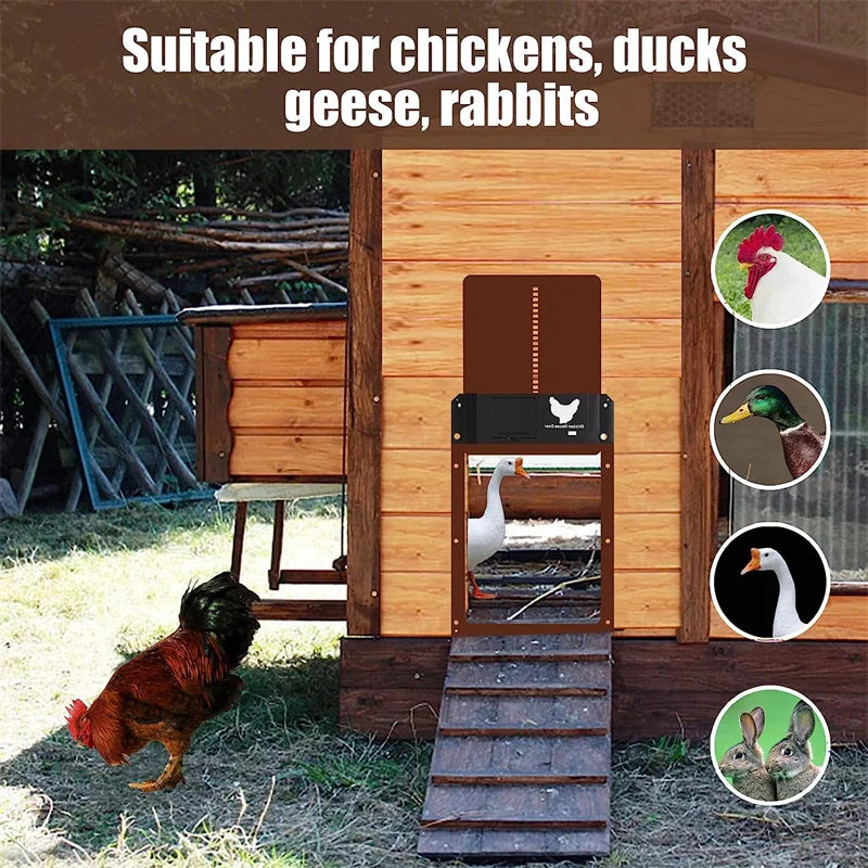 Digstick™ Smart Light-Sensor Chicken Door