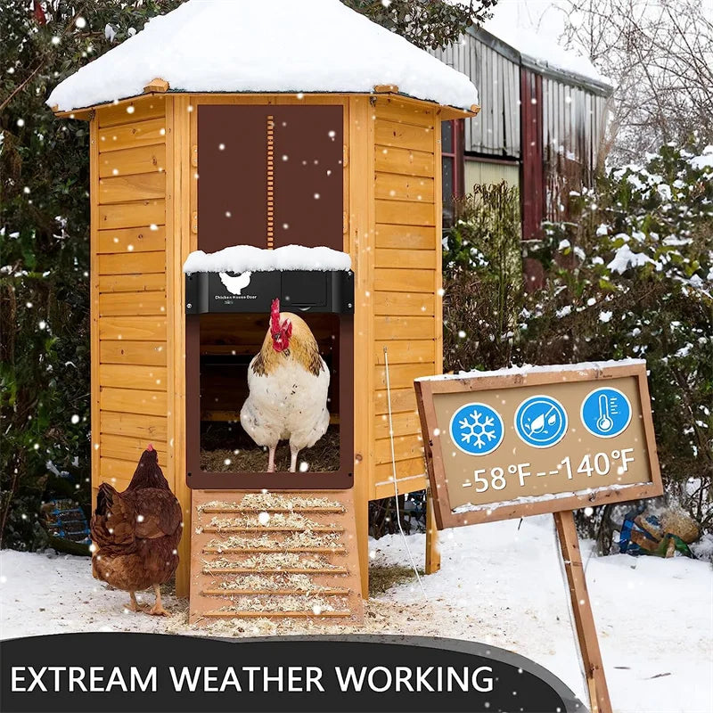 Digstick™ Smart Light-Sensor Chicken Door