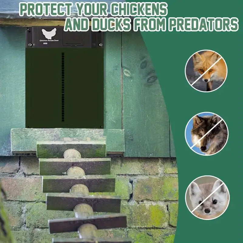 Digstick™ Smart Light-Sensor Chicken Door