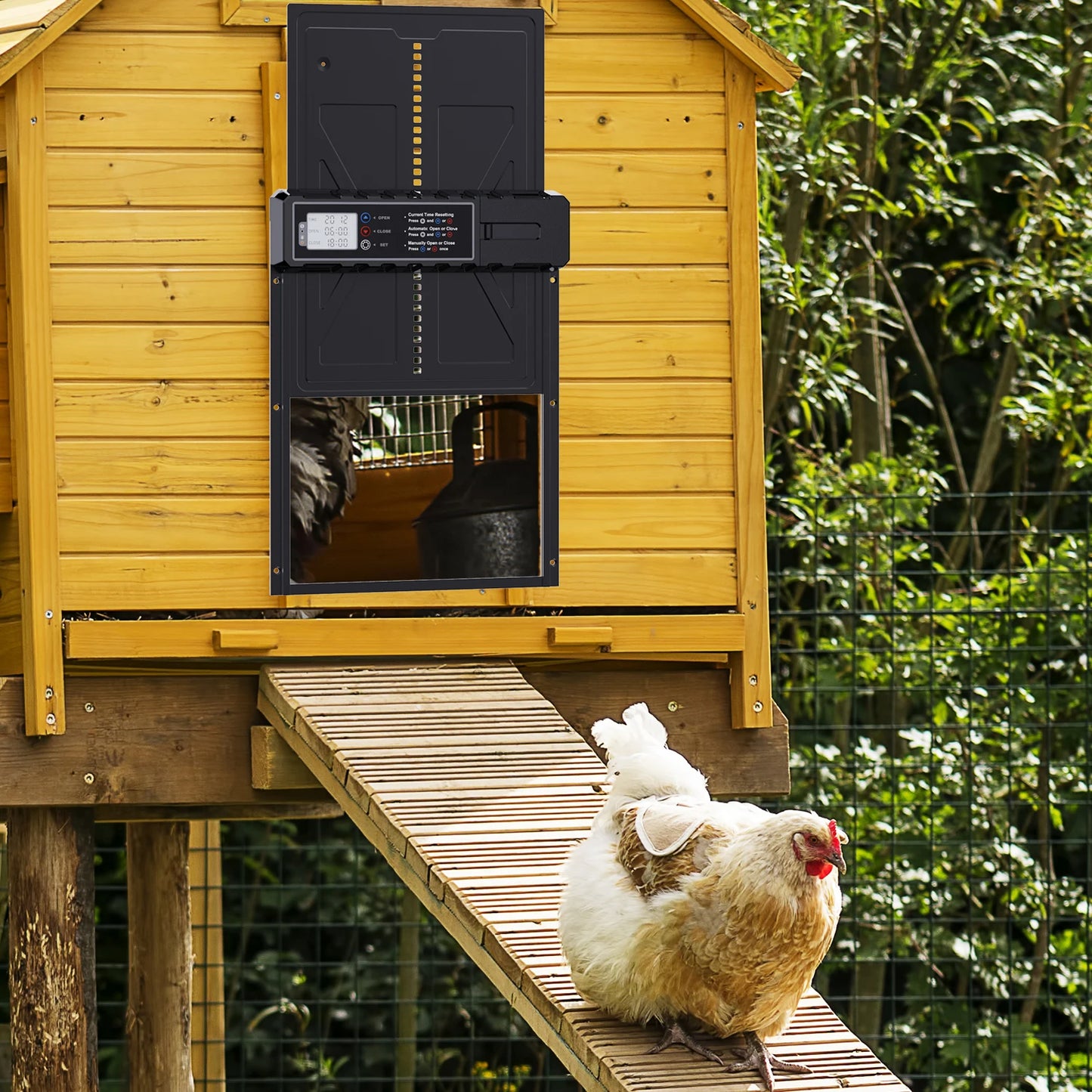 Large Auto Chicken Coop Door with Timer LCD