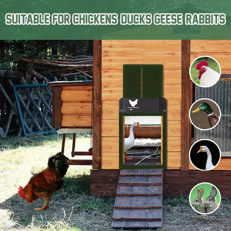 Digstick™ Smart Light-Sensor Chicken Door