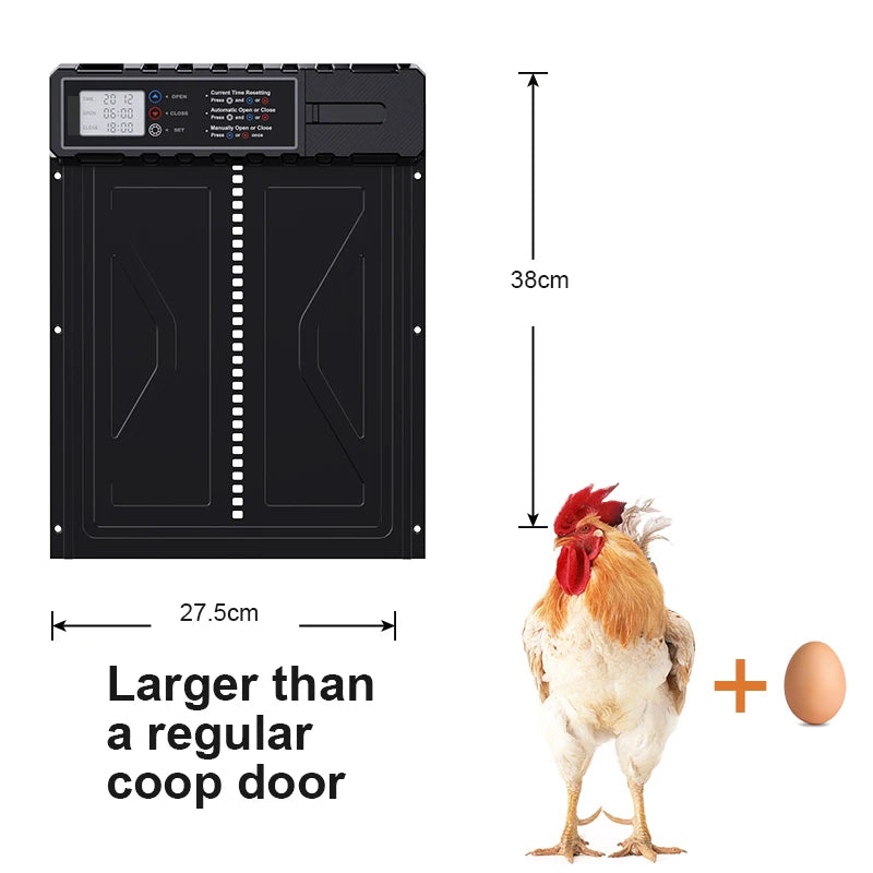 Large Auto Chicken Coop Door with Timer LCD